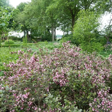 't Hekkert *