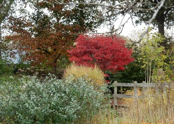 't Hekkert Bed & Breakfast Gorssel